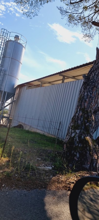 Cimentijolo, Lda foto 6