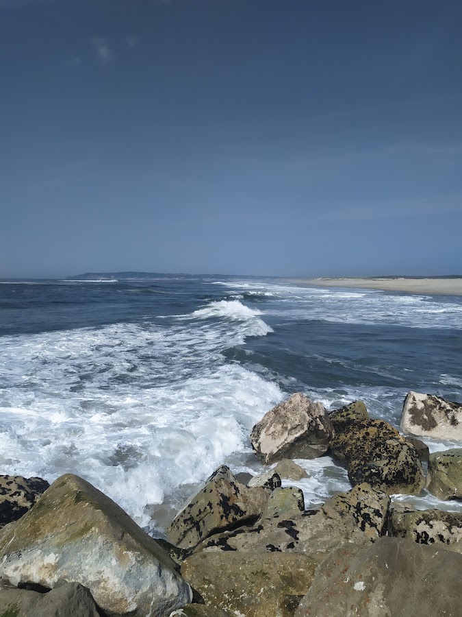 Homenagem ao Pescador da Praia da Leirosa foto 2