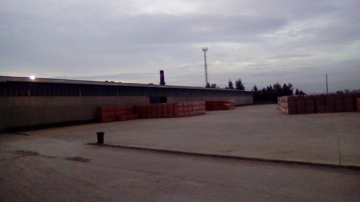 CETIPAL - Cerâmica de Tijolos e Pavimentos, S.A. foto 7