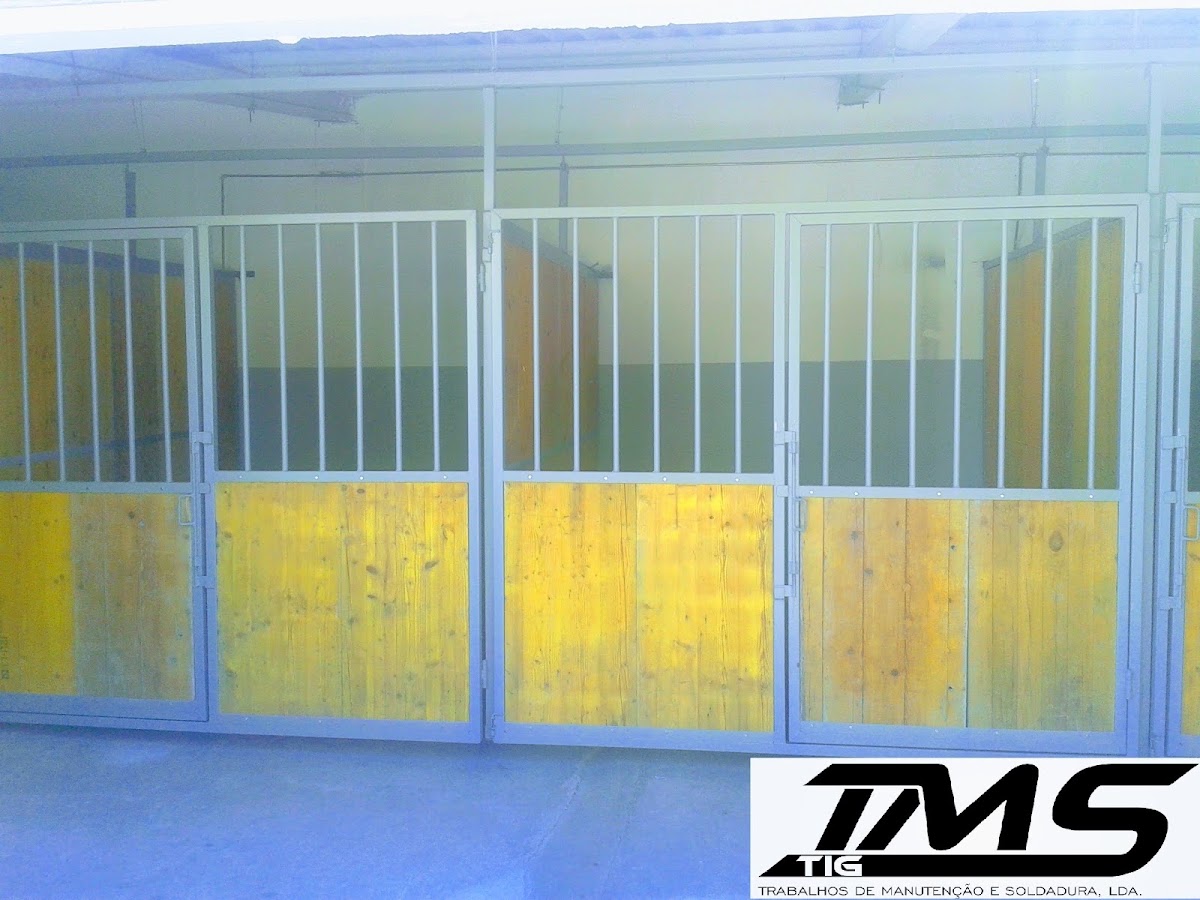 Tmstig - Trabalhos de Manutenção e Soldadura