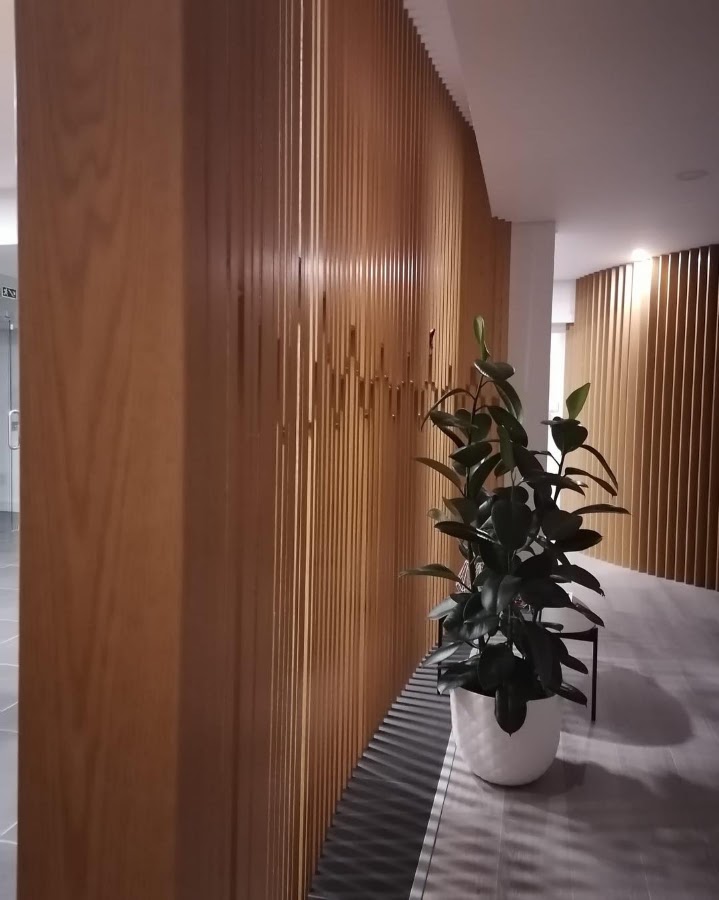 Melom Viseuin foto 6