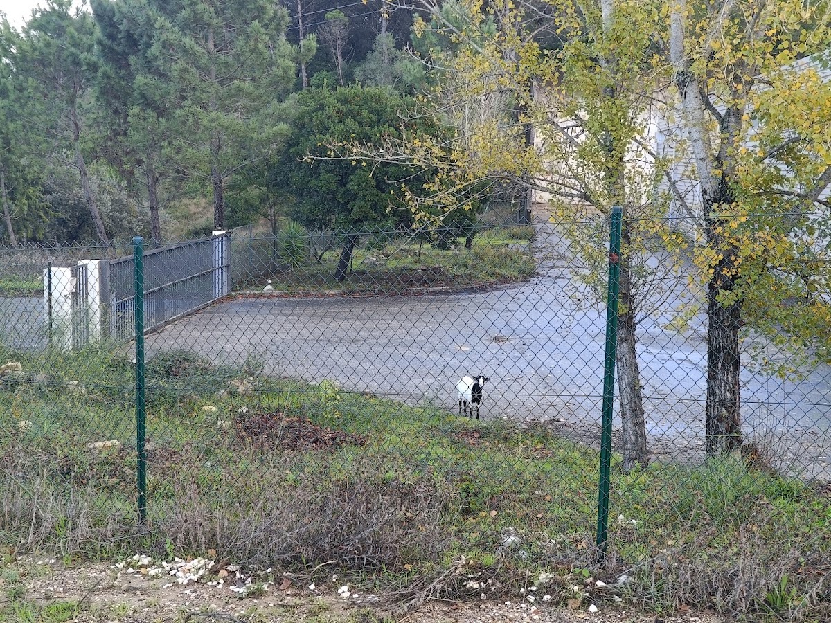 Mondegovidro - Soluções em vidro, lda.